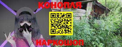 гашик Краснознаменск