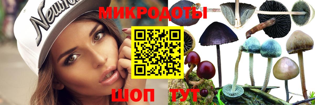Галлюциногенные грибы мицелий  Вход с VPN  Псилоцибиновые грибы Magic Shrooms  Камышин 