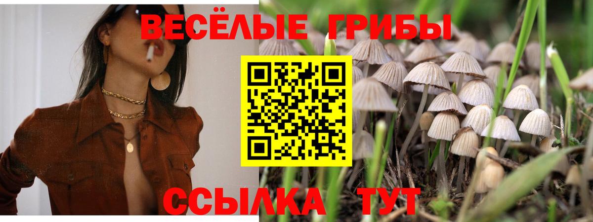 Псилоцибиновые грибы MAGIC MUSHROOMS Камышин